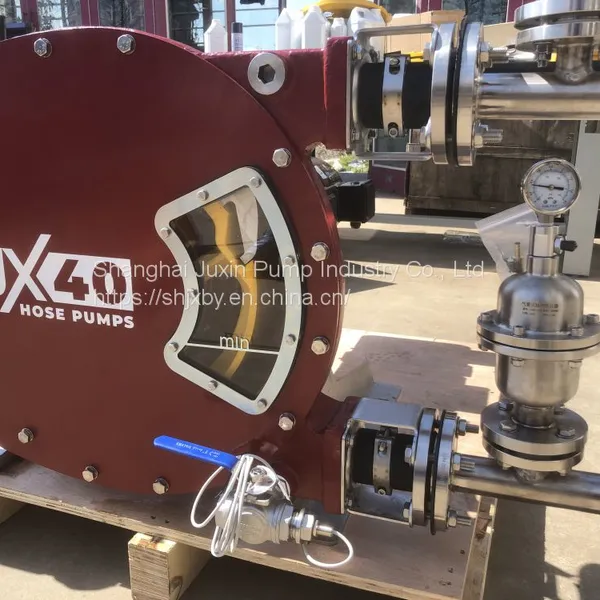 Industrial Peristaltic Pump Hose Pump Manufacturer With High Flow and Pressure