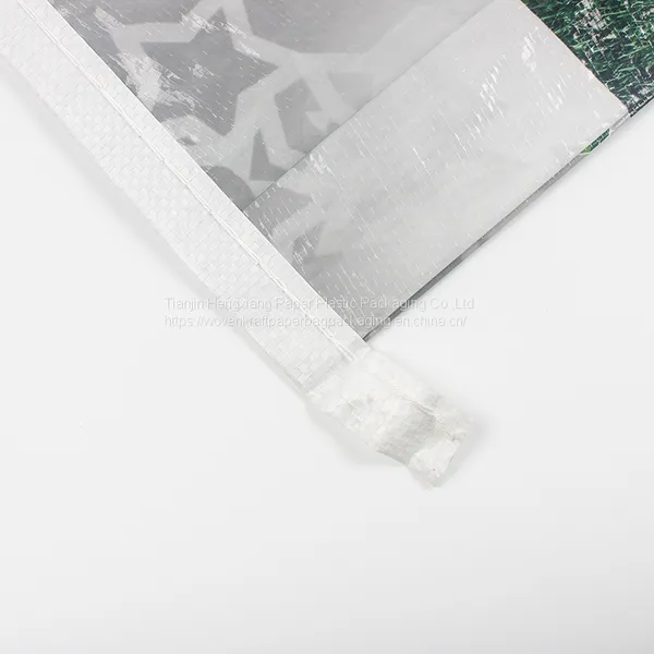 Factory Various Styles Industry Cement Valve Bag photo-2