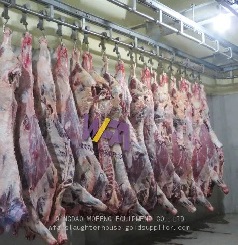 Professional Manufacture Butchery Equipment Machine For Cattle Slaughter Line photo-3