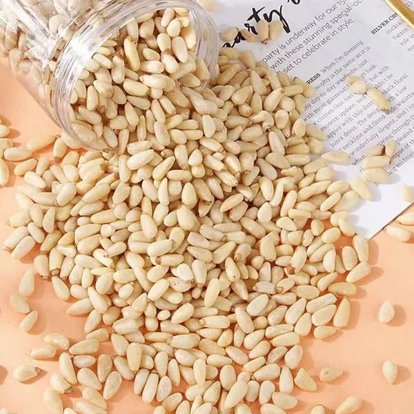 Wholesale Wild Raw Dried Seeds of Organic Pine Nuts Kernels for Snacks
