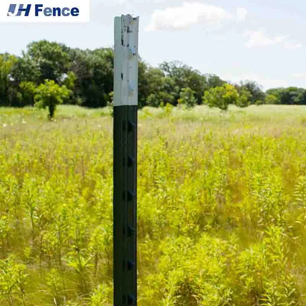 Heavy Duty Studded T Post With Spade and Studs for Customized 6 ft 7 ft 8 ft 9 ft 10 ft Height photo-5