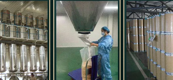 Vegetable Powder Production Line Instant Onion Powder Making Machine photo-4
