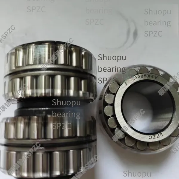 Luoyang Shuopu Bearing F-554377 Cylindrical Roller Bearing Without Outer Ring photo-3