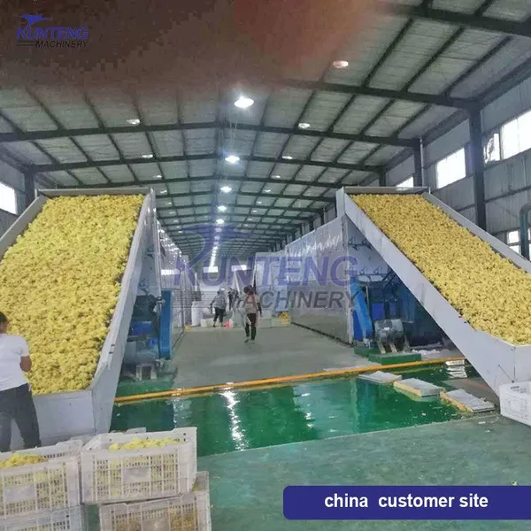 Burning Firewood Beef Jerky Eggplant Brown Leaves Mesh Belt Dryer Green Plum Dryer EPC photo-4