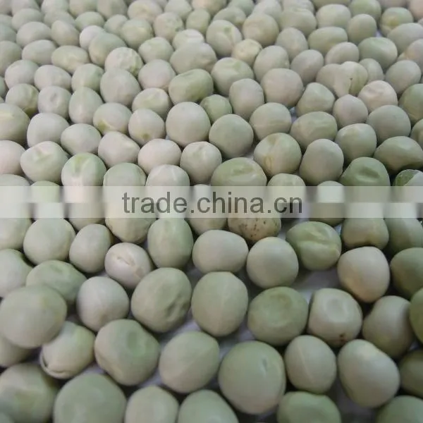 Green Peas Dried US Origin photo-3