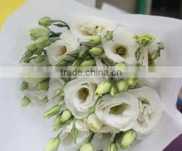 Good Smell Hotsell Provide High Quality Fresh Eustoma photo-2