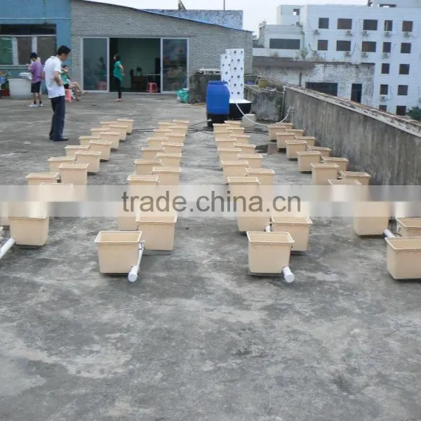 Commercial Duch Buckets for Tomatoes photo-6