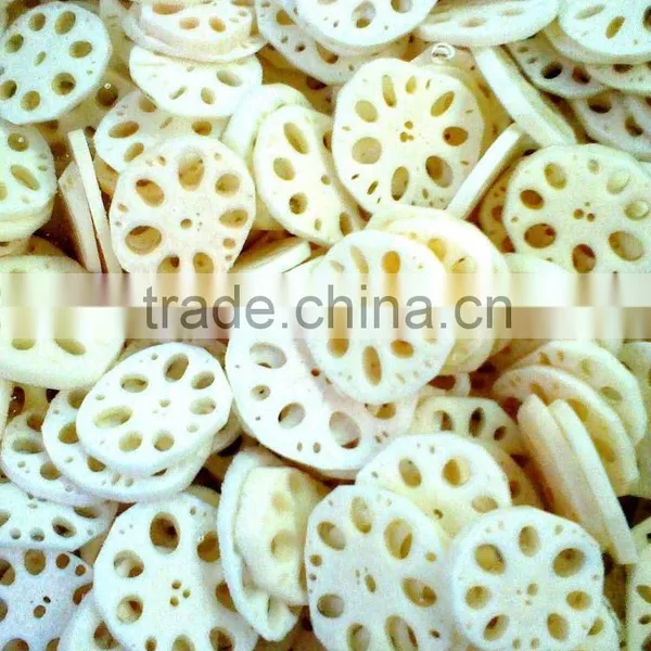 Vietnam Lotus Root With Goos Quality and Best Price photo-3