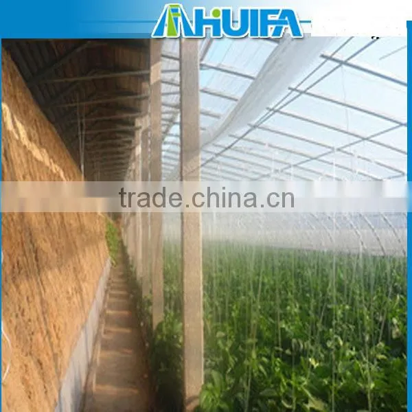 Agricultural Solar Greenhouse For Sale photo-3