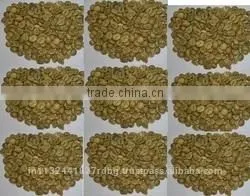 Raw Arabica and Robusta Coffee Beans Exporters India/robusta Cherry,arabica Plantation Suppliers photo-2