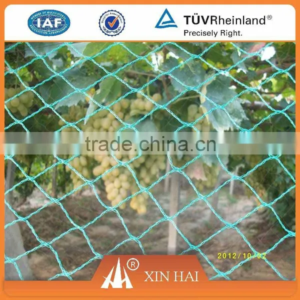 PE Fishing Net Agricultural Net Knotless Net photo-5