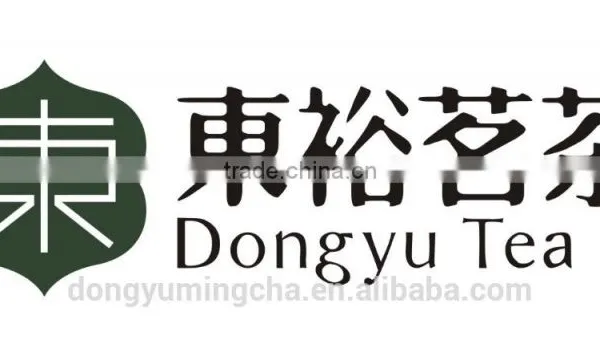 High Quality Green Tea Extract 50% Catechins Tea Polyphenols Plant Extract Instant Tea Powder photo-6