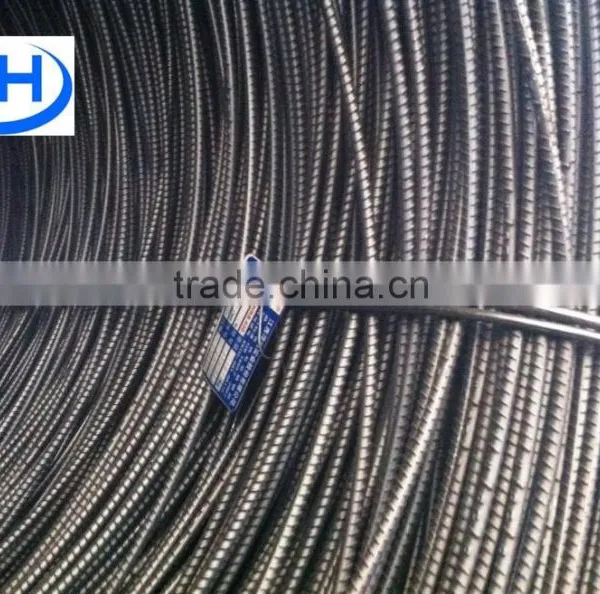 China Astm Steel Rebar in Coil photo-6