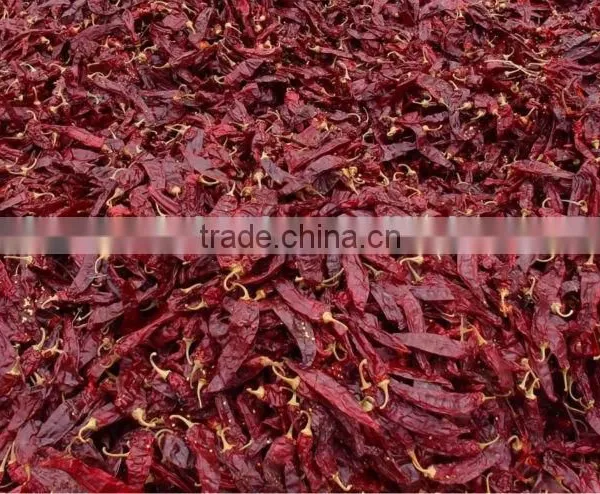 Sweet Chilli photo-2