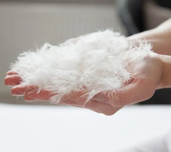 Cheap Wholesale Filling Material White Duck Down Feather