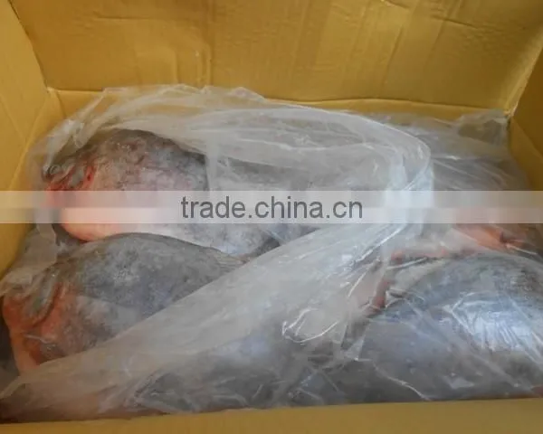 FROZEN BLACK POMFRET WHOLE ROUND photo-2