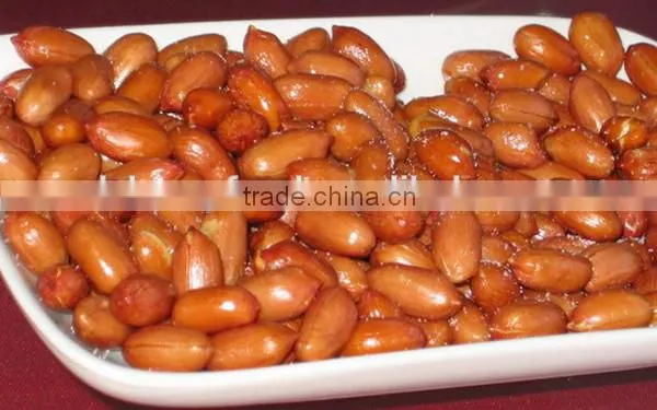 Top Grade Peanut for Selling and From Direct Factory With Best Quality photo-5