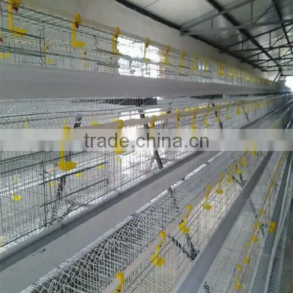 504 Hot-sale Automatic Poultry Water Nipple Drinker For Broiler Chicken Breeder photo-6