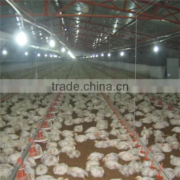 Environmental Control Poultry House Automatic Farm Machinery Equipment Broiler Feeding System For Breeding Chickens photo-3