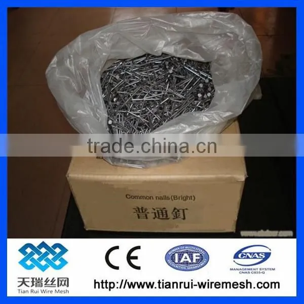 Common Wire Nail/polished Common Nail/bright Common Nail photo-3