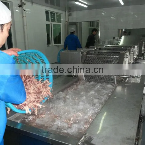 Bubble Fruit and Vegetable Industrial Washing Machine photo-4