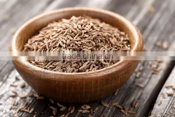 Cumin Seeds photo-2