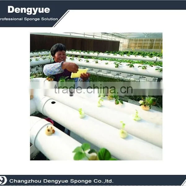 Agricultural Polyurethane High Densuty Seeding Planting Sponge photo-6