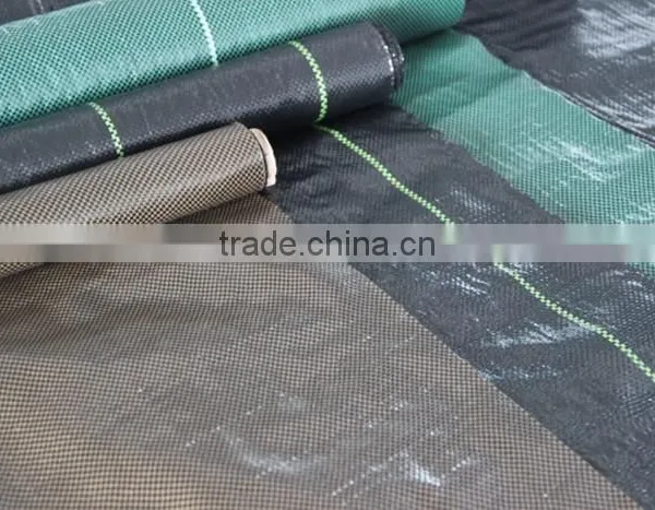 Black PP Weed Barrier for Garden photo-2