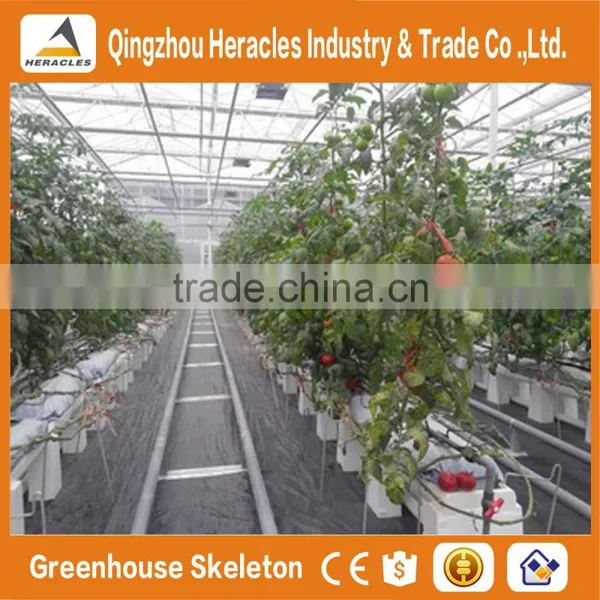 Heracles Trade Assurance Hydroponic Grow Systems Greenhouse photo-6