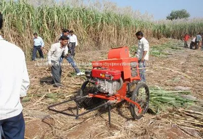 Sugarcane Leaf Remover photo-2
