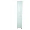 Hanging Cupboard Sanitary Cabinet