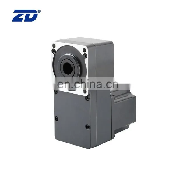 24v36v48v110v220v L Type Brushless DC Gear Motor 220V 40W photo-3