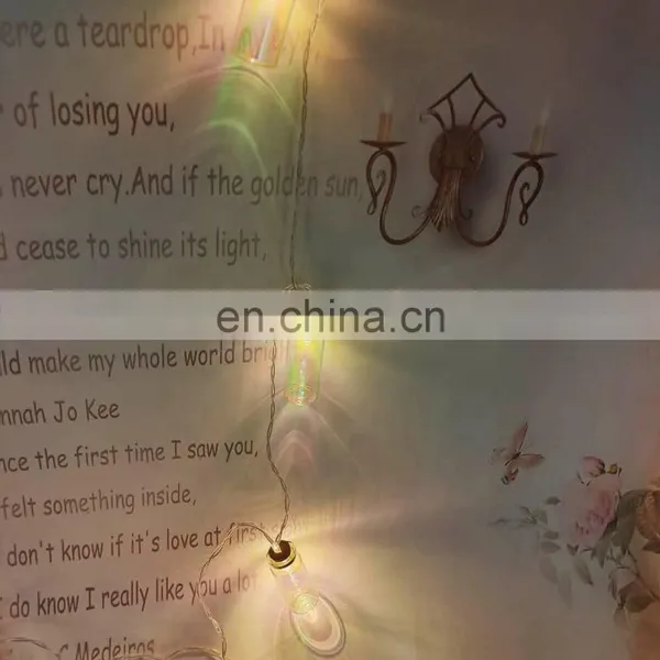 Wholesale High Quality Holiday Decoration Grass Bottle Battery Operated Led Wishing Bottle String Fairy Light For Party Home photo-3