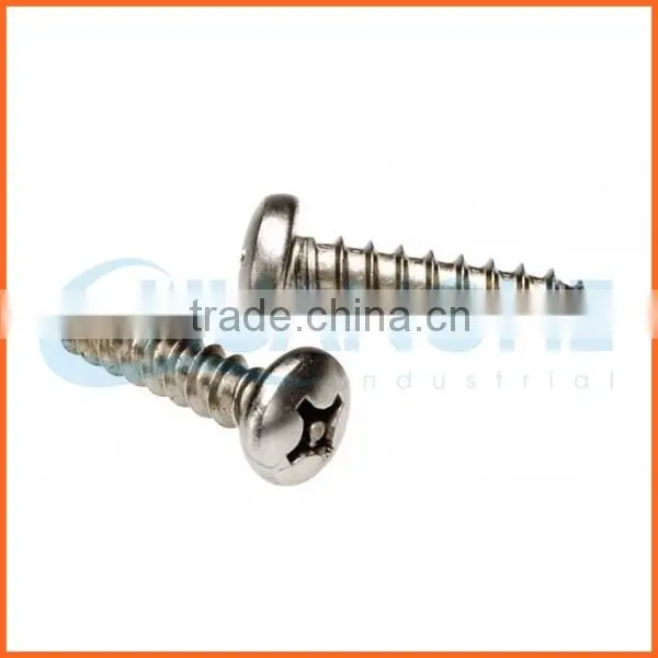 China Supplier Pan Head Stainless Self Tapping Anti-theft Screw photo-6
