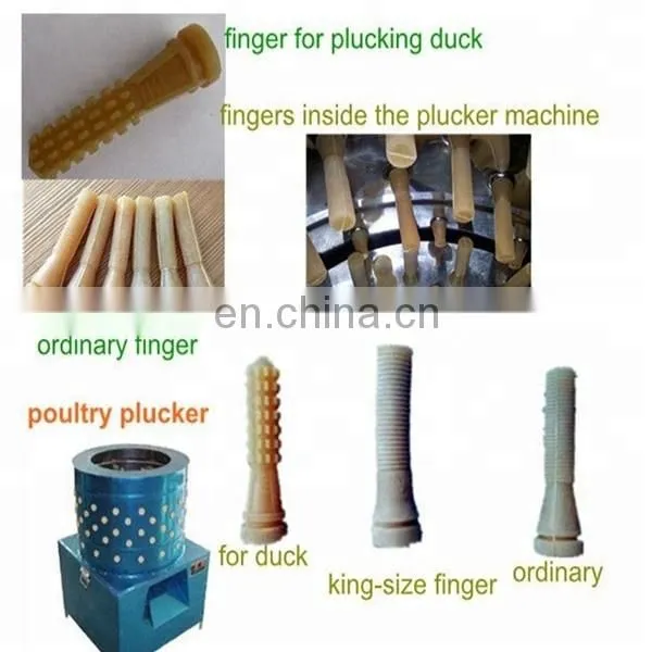 110v\220v Commercial Chicken Plucker Machine\chicken Scalder & Plucker Machine for Sale photo-4