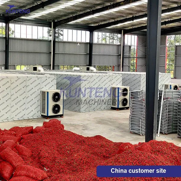 Commercial Fruit Vegetable Drying Equipment Dryer Oven EPC photo-2
