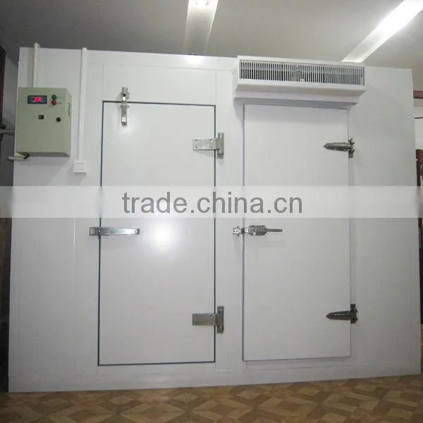 China High Quality Hinged Door for Cold Room Most Popular photo-4