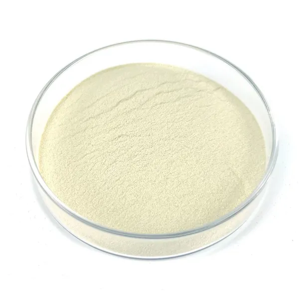High Potency Freeze-dried Lactobacillus Casei Probiotic Powder 100 Billion CFU/g Food Grade for Yogurt& Supplements - ISO HACCP HALAL FDA Certified