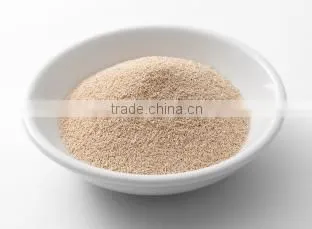 Instant Dry Yeast
