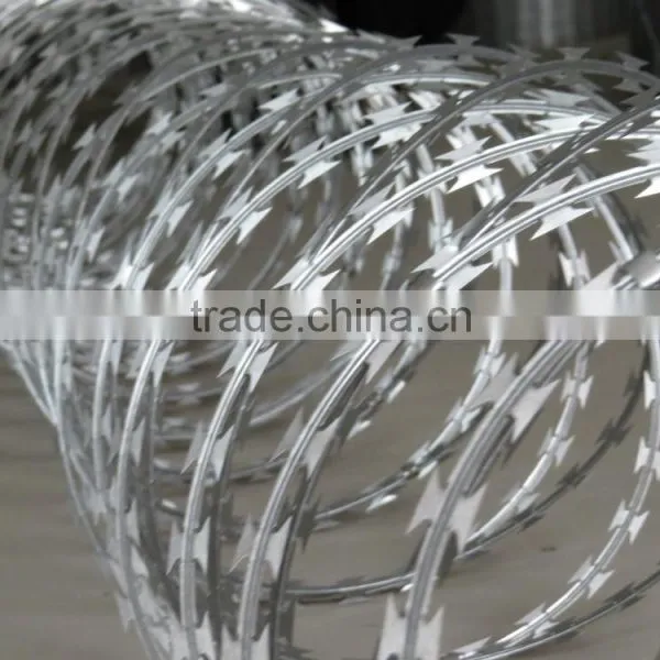 Hot Sell Razor Wire of Concertina photo-5