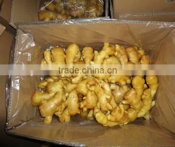 Ginger Root Wholesale Ginger Price