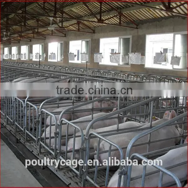 Wholesale Pig Farrowing Crates/Farrowing Crates For Pigs/Farrowing Crate For Sale photo-5
