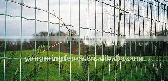 Iron Craft Fence
