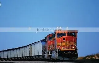 Logistic Service From China photo-2