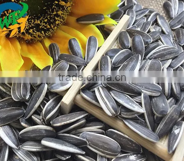 Cheap's New Good Sunflower Seed 5009