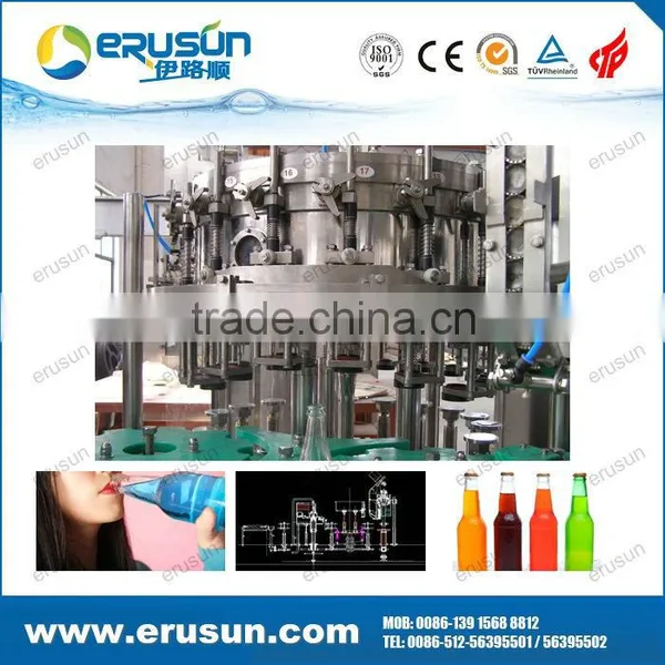 Fully Automatic Glass Bottle Orange Bottling Machine photo-4