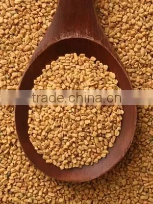 FENUGREEK SEED BOLD BEST QUALITY