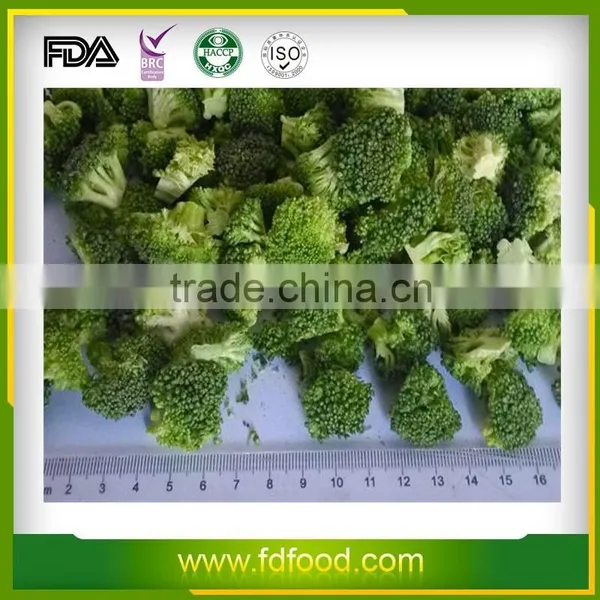 Cheap Price Freeze Dried Fruits and Vegetables Natural Freeze Dried Broccoli photo-2