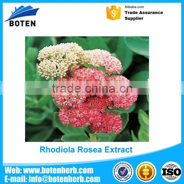 New Design Total Rosavin Rhodiola Rosea for Medical Use photo-6