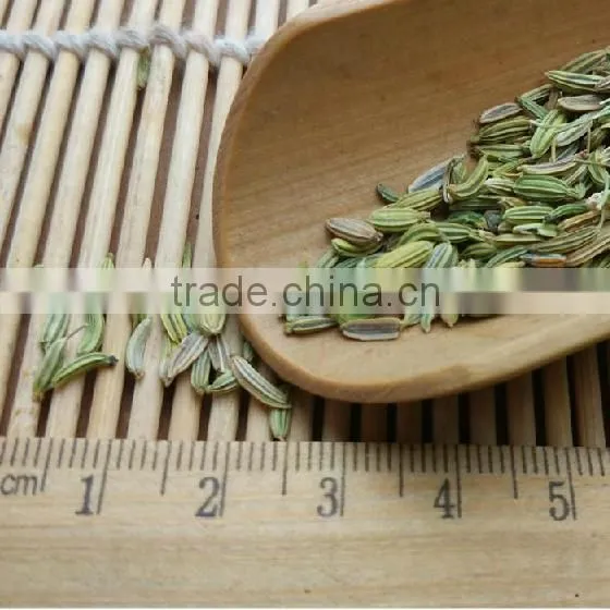 Export Products Cumin Seed From Premium Market photo-5